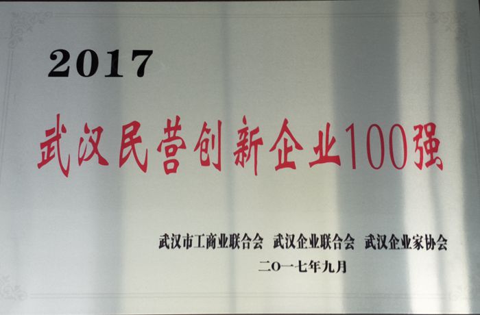 武汉民营创新企业100强（2017.09...